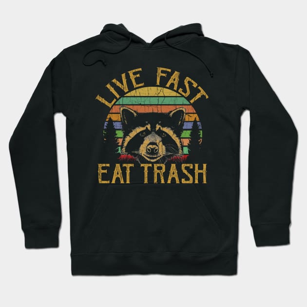 Live Fast Eat Trash Racoon Trash Panda Hoodie by AllWellia